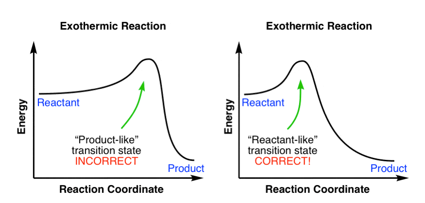 Untitled-2 copy hammond-postulate-reaction-coordinate-diagram-showing-early-transition-state-correct-and-incorrect-way-to-draw