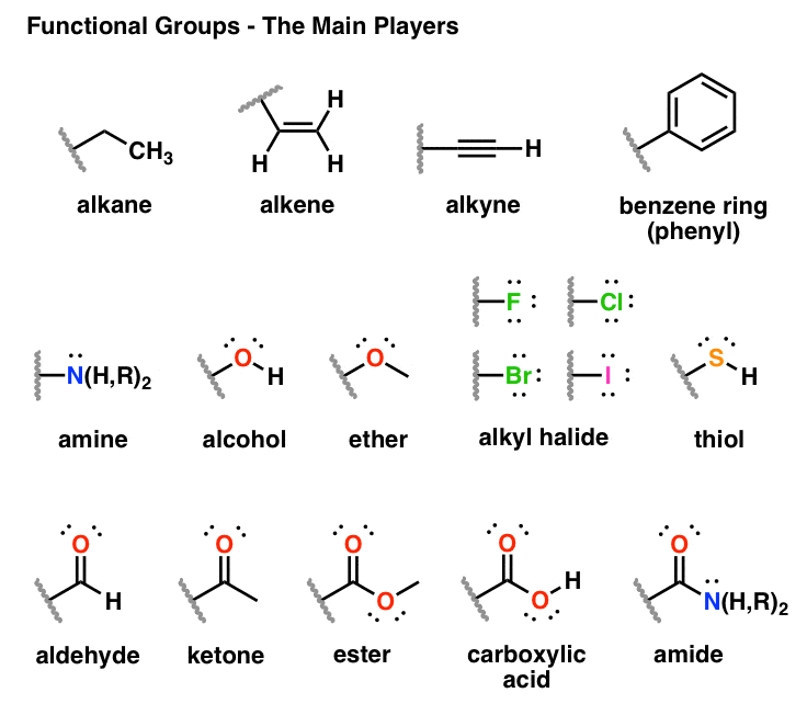 -most important funcdtional groups alkane alkene alkyne benzene ring amine alcohol ether alkyl halide thiol aldehyde ketone ester carboxylic acid amide