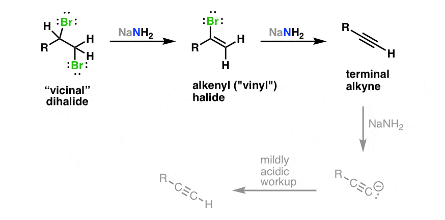 -elimination of vicinal dihalides with nanh2 gives alkenyl halides further elimination gives alkynes 3 equiv required alkyne acidic