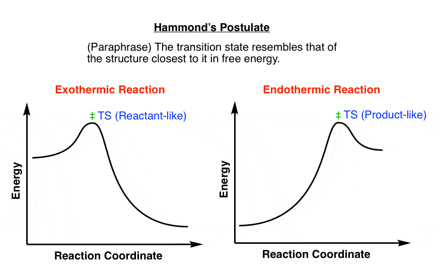Untitled-3 copy hammonds-postulate-is-that-the-transition-state-resembles-most-closely-the-species-that-is-closest-to-it-in-energy