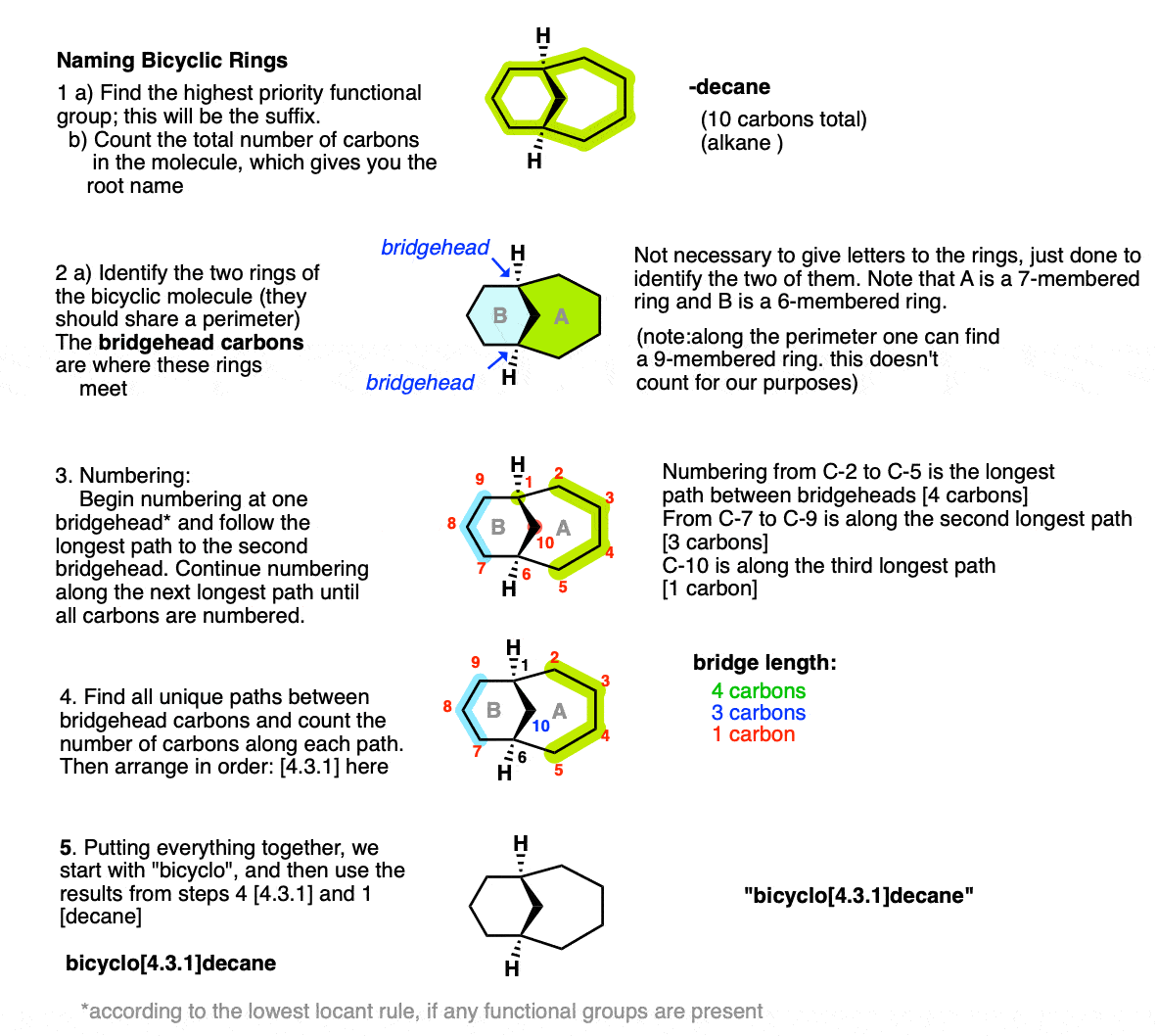detailed procedure for naming bicyclic rings eg bicyclo 4 3 1 decane