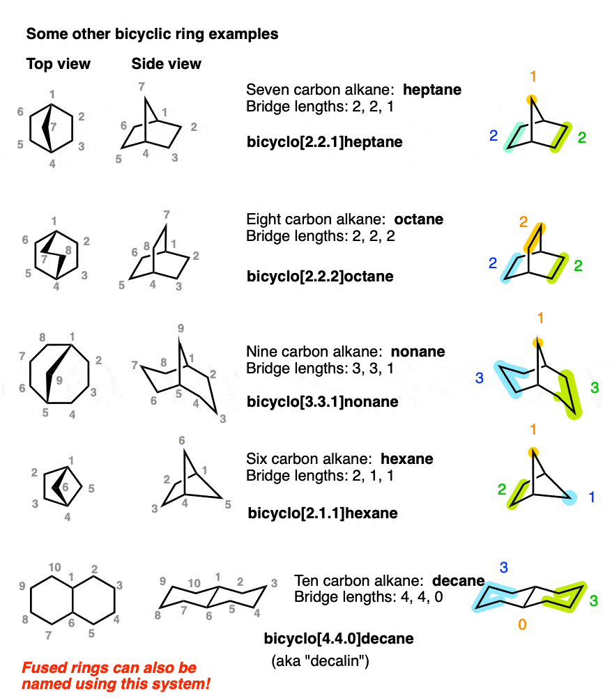 diagrams of bicyclic ring examples top view side view bridge lengths bridgeheads