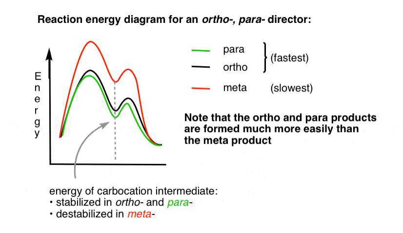 reaction energy diagram for an ortho para director where para is least energy ortho slightly higher and meta is highest