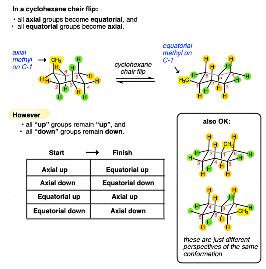 chair clip of 1 methylcycloheane interconversion goes from axial ch3 to equatorial ch3 all axial become equatorial and all equatorial become axial