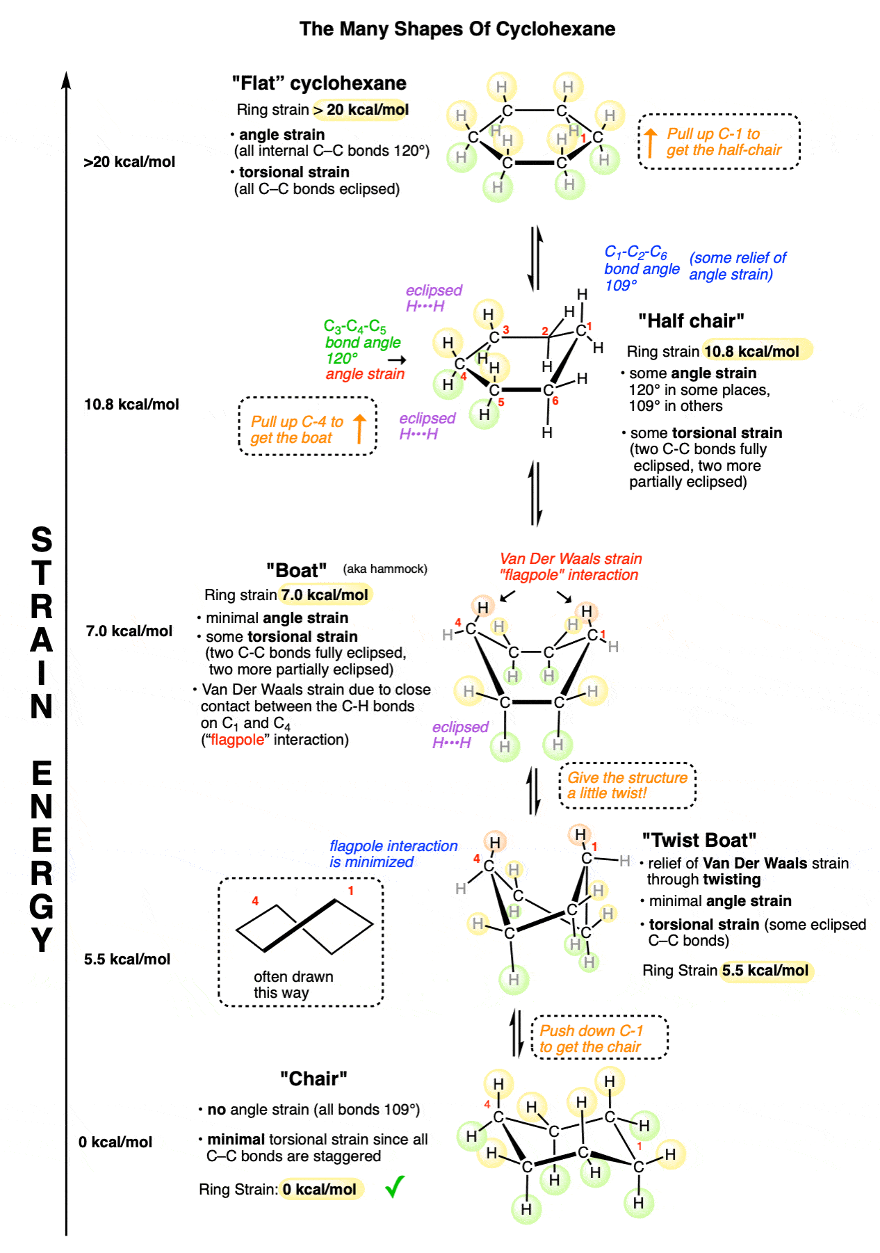 full diagram showing strain energy of various forms of cyclohexane chair twist boat boat half chair flat cyclohexane