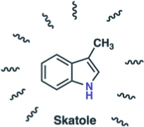 Organic Chemistry Is Shit